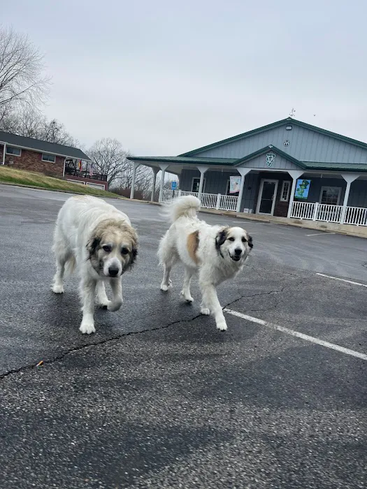 R Veterinary at Romaine Creek Picture 9