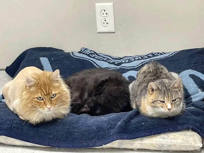 R Veterinary at Romaine Creek Picture 10