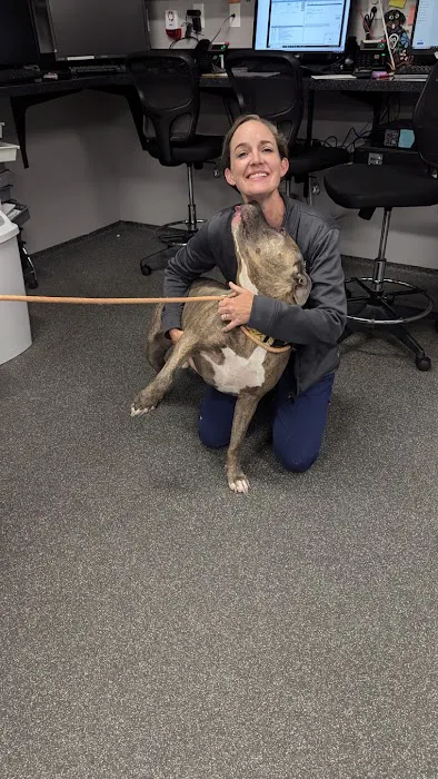 O'Fallon Animal Hospital Picture 1