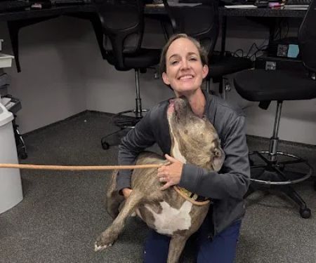 O'Fallon Animal Hospital