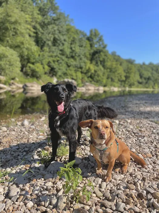 O'Fallon Animal Hospital Picture 2