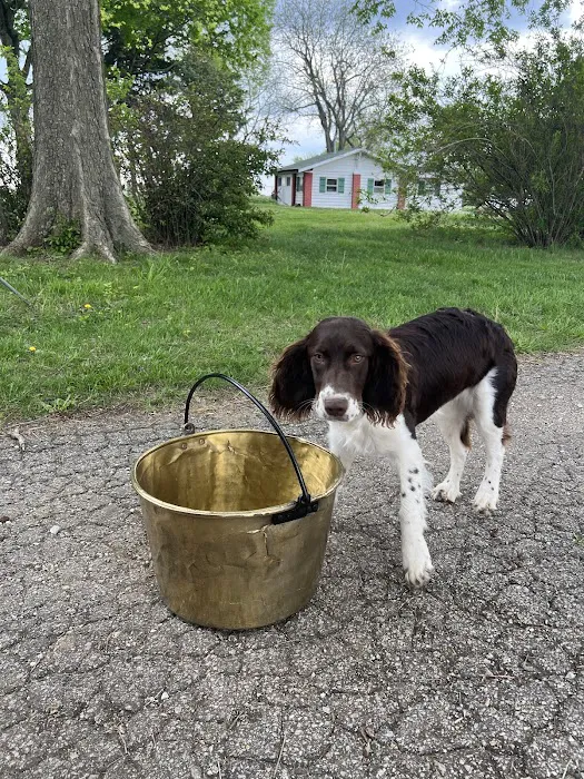 O'Fallon Animal Hospital Picture 6