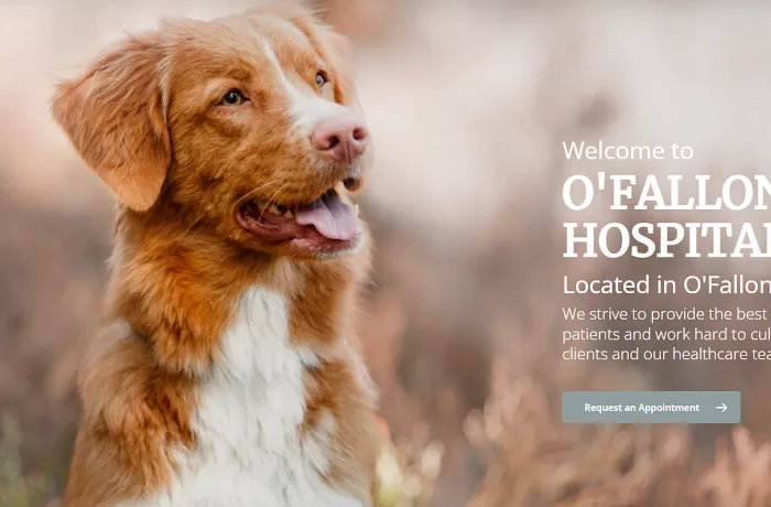 O'Fallon Animal Hospital Picture 9