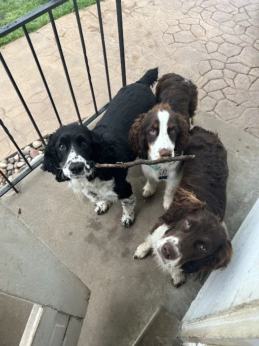 O'Fallon Animal Hospital Picture 7