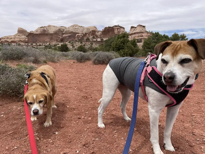 Veterinary Specialty Services - West Picture 1