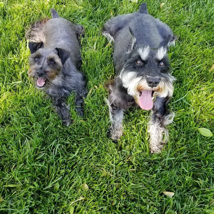 Veterinary Specialty Services - West Picture 3