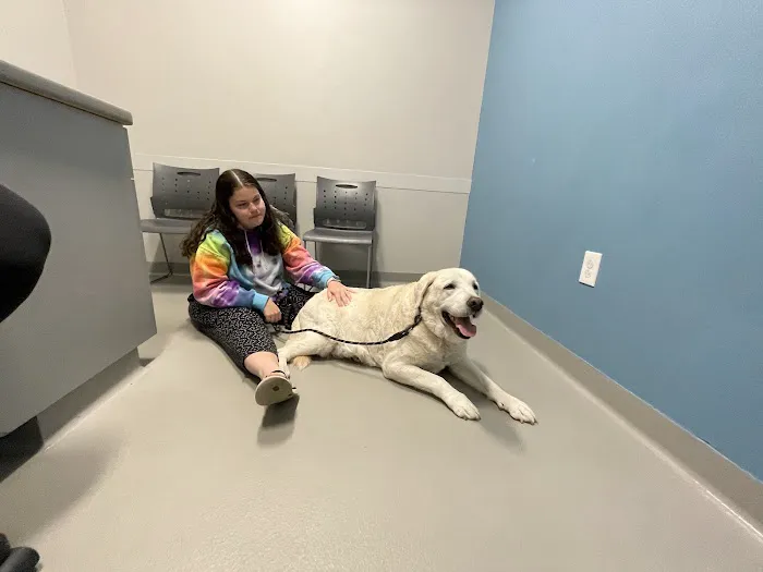 Veterinary Specialty Services - West Picture 8