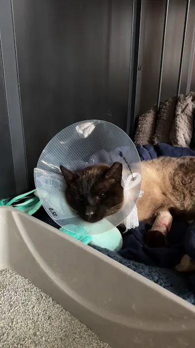 Veterinary Specialty Services - West Picture 6