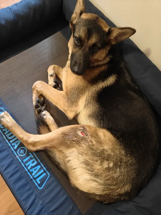 Veterinary Specialty Services - West Picture 9