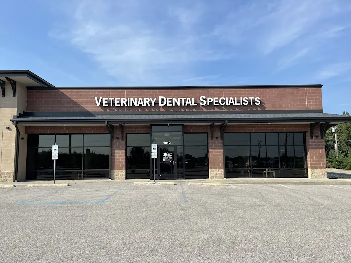 Veterinary Dental Specialists of Missouri Picture 6