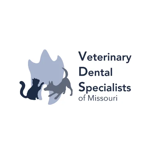 Veterinary Dental Specialists of Missouri Picture 8