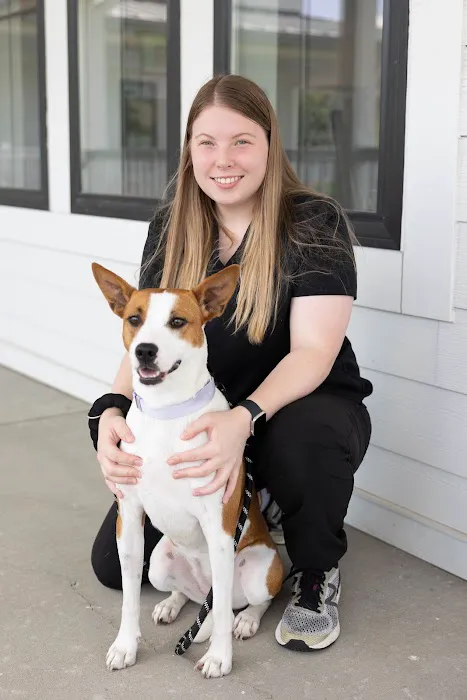 The Pet Doctor - O'Fallon Picture 3