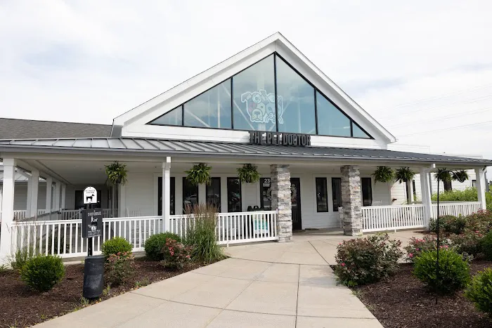 The Pet Doctor - O'Fallon Picture 2