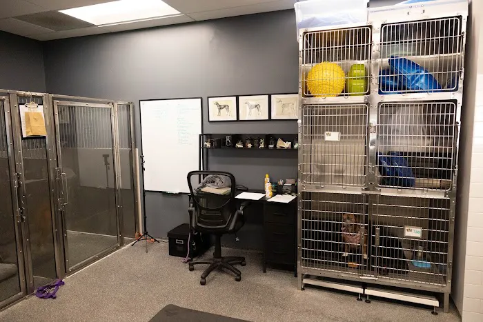 The Pet Doctor - O'Fallon Picture 8