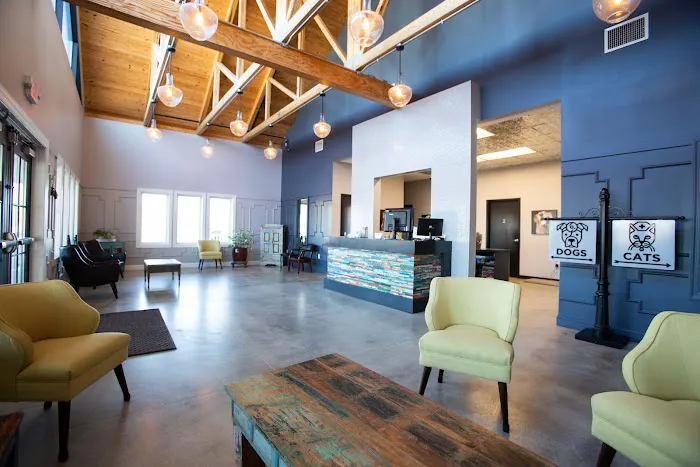 The Pet Doctor - O'Fallon Picture 7