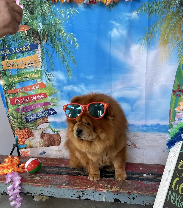 The Pet Doctor - O'Fallon Picture 9