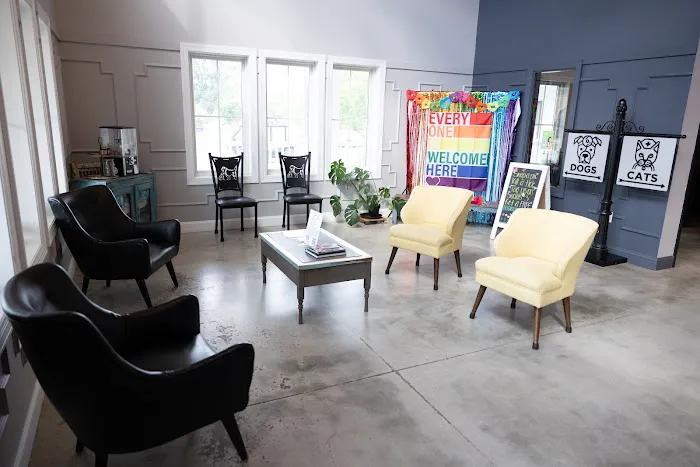 The Pet Doctor - O'Fallon Picture 10