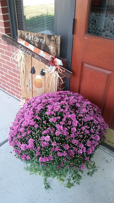 Cherry Hills Veterinary Hospital Picture 4