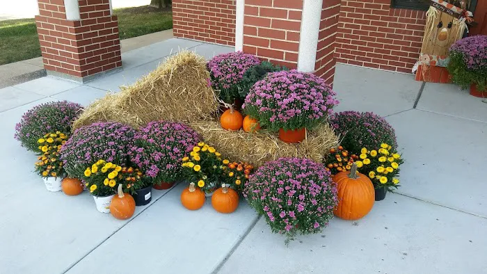Cherry Hills Veterinary Hospital Picture 3