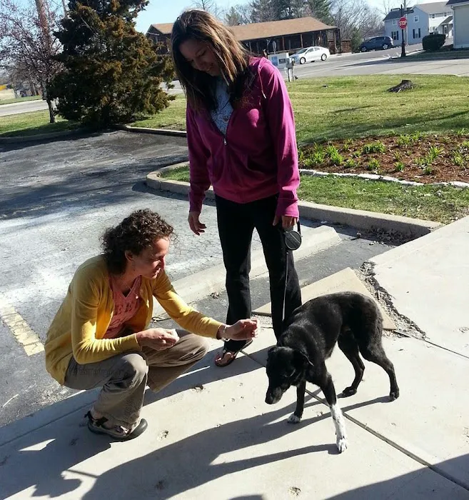 Cherry Hills Veterinary Hospital Picture 7