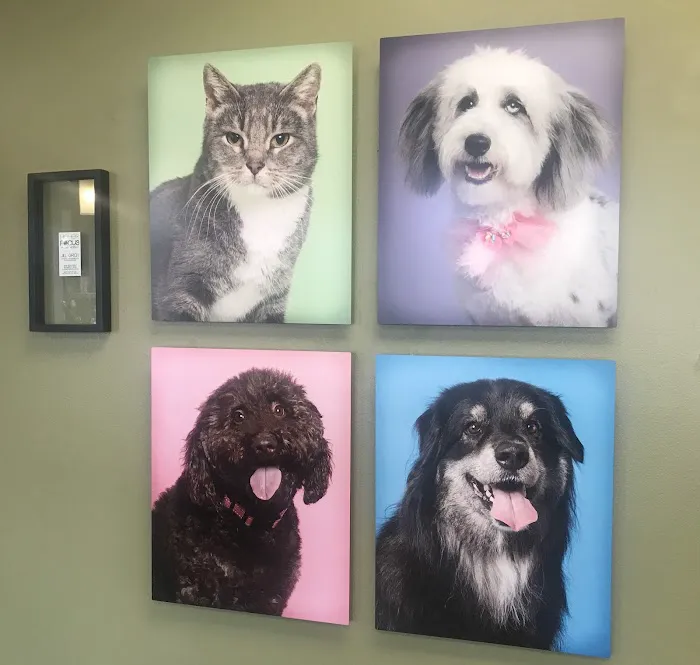 Cherry Hills Veterinary Hospital Picture 5