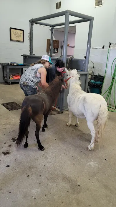 Equine Medical Associates Picture 4