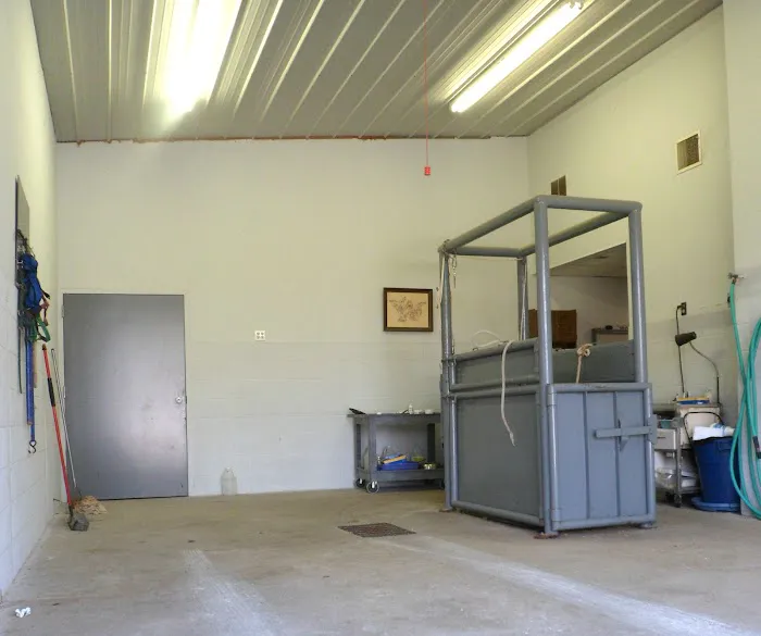 Equine Medical Associates Picture 2