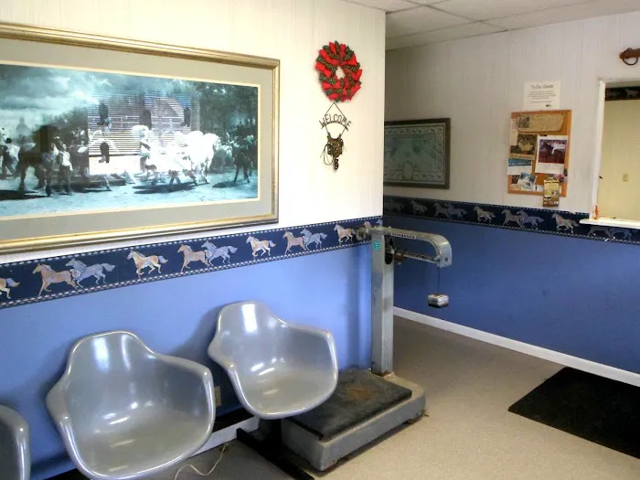 Equine Medical Associates Picture 1