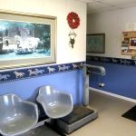 Equine Medical Associates