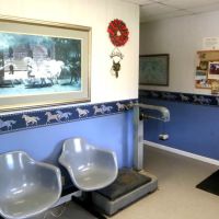 Equine Medical Associates ico