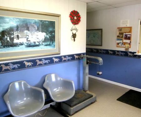 Equine Medical Associates