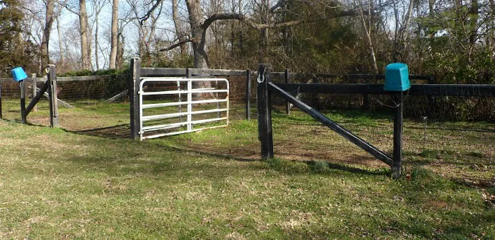 Equine Medical Associates Picture 7