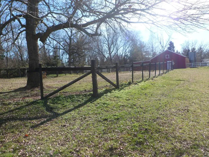 Equine Medical Associates Picture 6