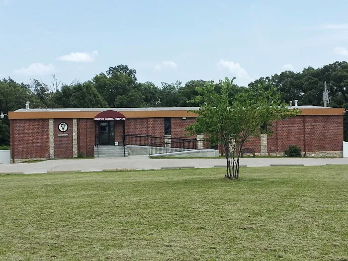 Murphy Animal Hospital Picture 1