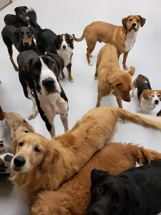 Murphy Animal Hospital Picture 6