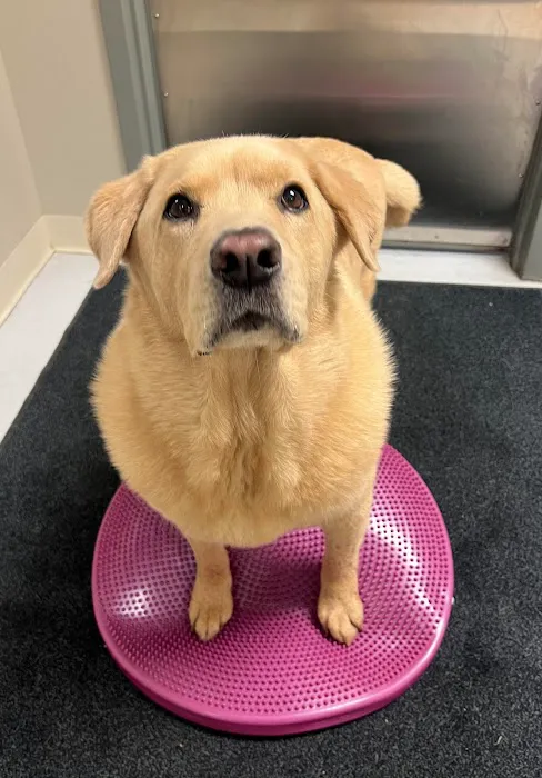 Murphy Animal Hospital Picture 5