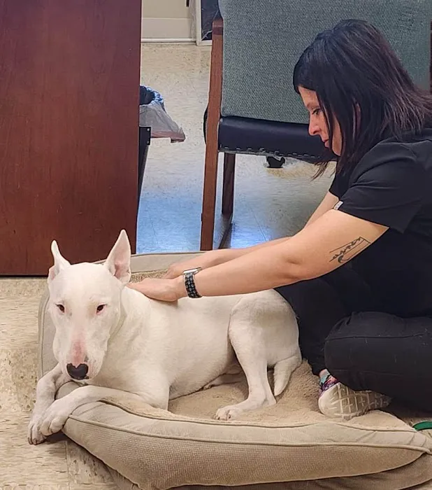 Murphy Animal Hospital Picture 8