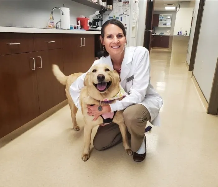 Murphy Animal Hospital Picture 9