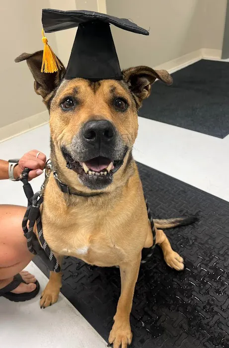 Murphy Animal Hospital Picture 7