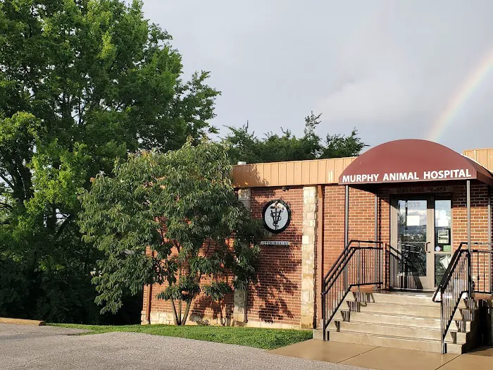 Murphy Animal Hospital Picture 10