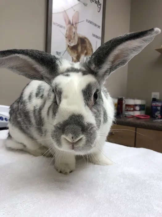 Hope Animal Hospital Picture 2