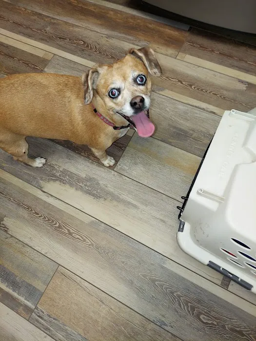 Hope Animal Hospital Picture 1