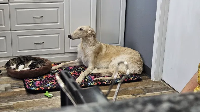 Hope Animal Hospital Picture 4