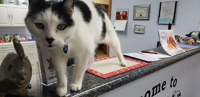 Hope Animal Hospital Picture 3