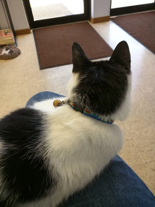 Hope Animal Hospital Picture 7