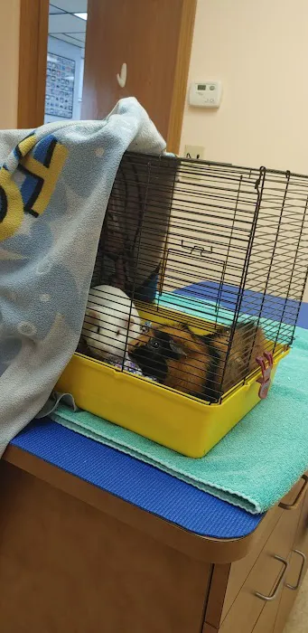 Hope Animal Hospital Picture 6