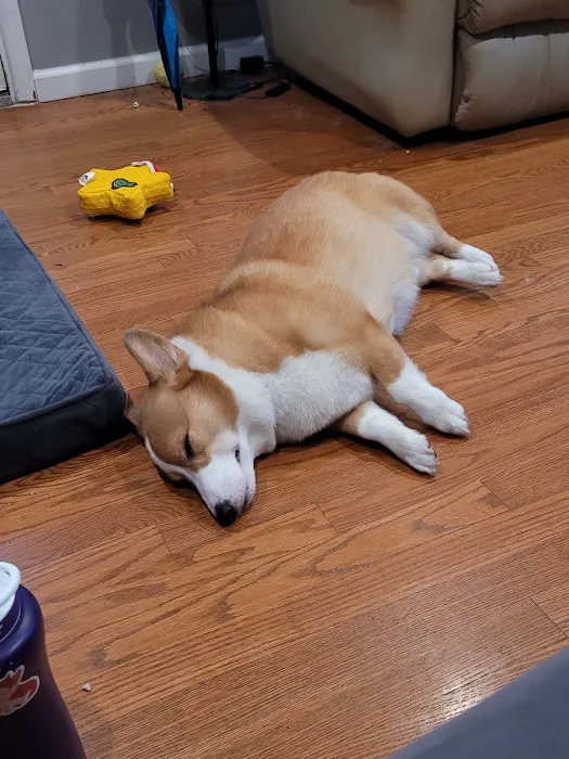 Advantage Veterinary Center Picture 3