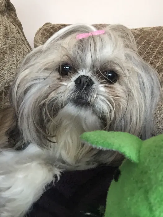 Advantage Veterinary Center Picture 5