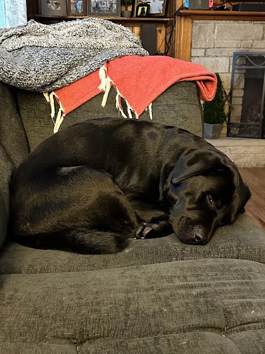 Animal Emergency Clinic Picture 7