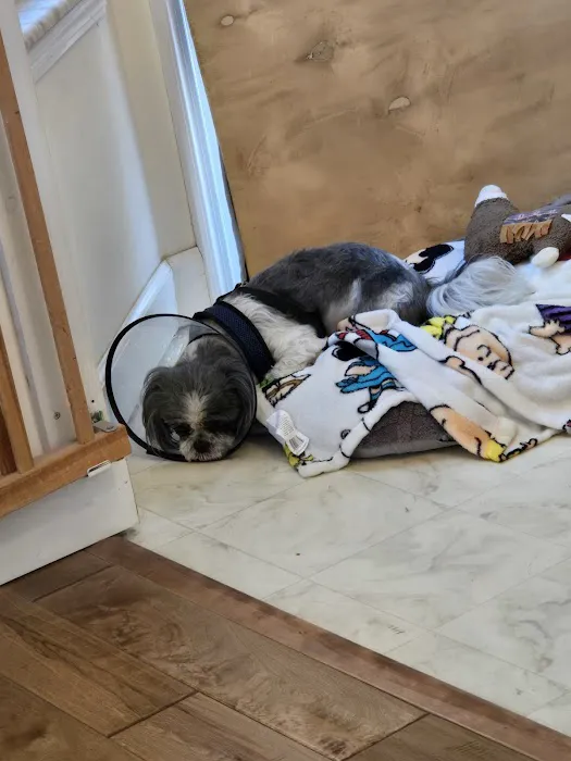 Animal Emergency Clinic Picture 10